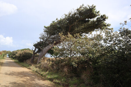 2025_09_13 Sark, IMG_0771_De la Ruette du Fort à la pointe nord
