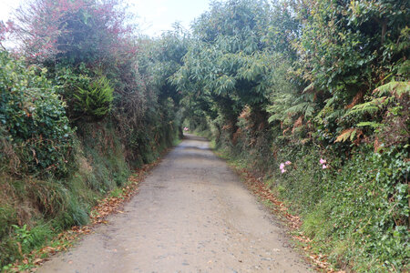 2025_09_13 Sark, IMG_0797_Vers la Sablonnerie