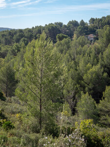 07-10-25-sentier-Pagnol, _1099090