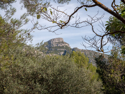 07-10-25-sentier-Pagnol, P1099084