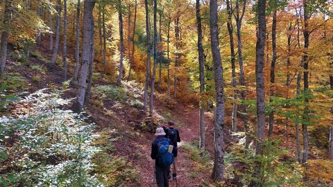 Les Monges, 20251009_145236