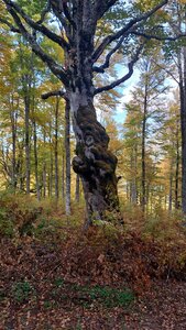 Les Monges, 20251009_150016