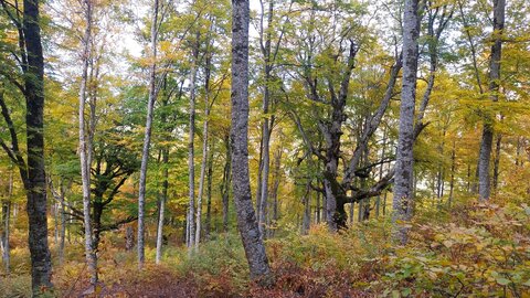 Les Monges, 20251009_150135