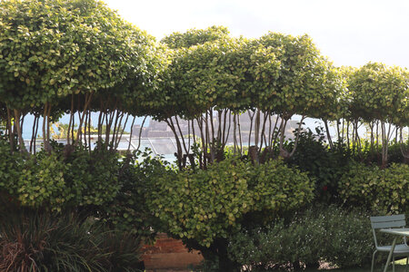 2025_09_15-17 St Peter Port, IMG_0961_Hauteville House (maison de Victor Hugo)