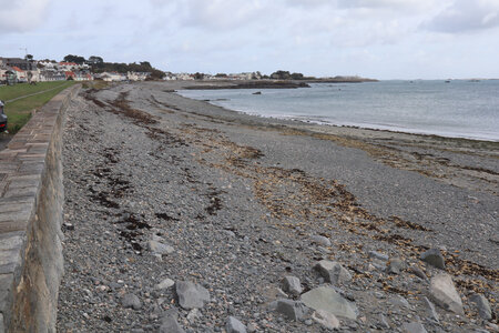 2025_09_15-17 St Peter Port, IMG_1014_La baie de Bellegreve