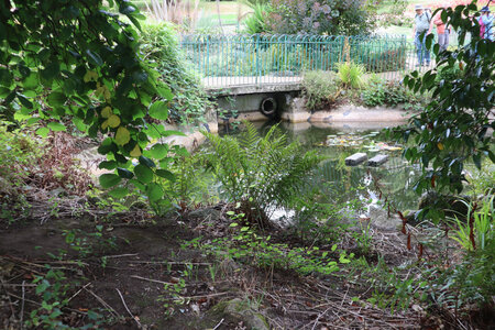 2025_09_15-17 St Peter Port, IMG_1026_Jardin de Candie