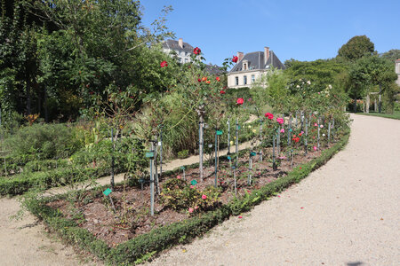 2025 09 19 Rennes, IMG_1212_Le parc du Thabor