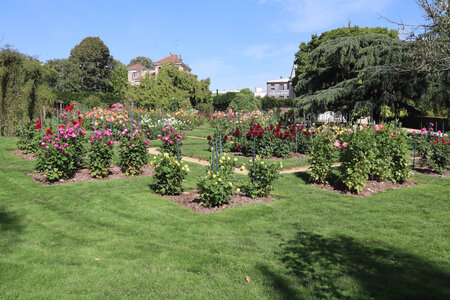 2025 09 19 Rennes, IMG_1213_Le parc du Thabor