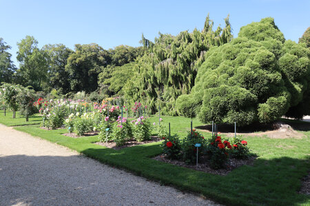 2025 09 19 Rennes, IMG_1216_Le parc du Thabor