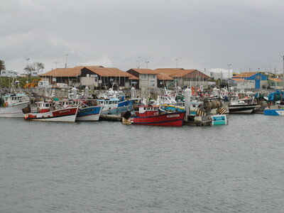 Oléron 2000, P1010033