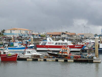 Oléron 2000, P1010017