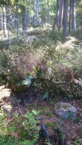 Taennchel 2025-10-12, IMG_20251012_110812