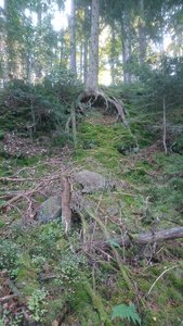 Taennchel 2025-10-12, IMG_20251012_112048