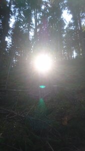 Taennchel 2025-10-12, IMG_20251012_112436