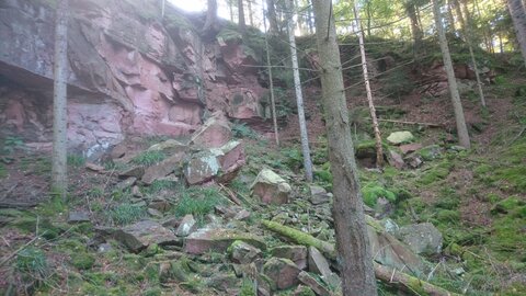 Taennchel 2025-10-12, IMG_20251012_112808