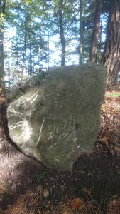 Taennchel 2025-10-12, IMG_20251012_114059