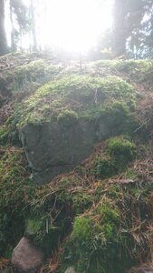 Taennchel 2025-10-12, IMG_20251012_115757