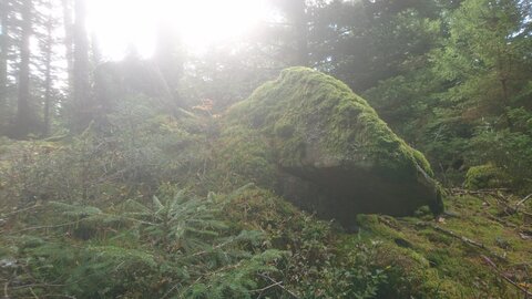 Taennchel 2025-10-12, IMG_20251012_120127