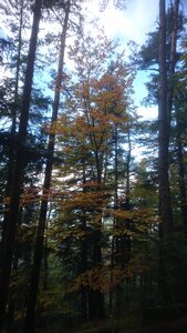 Taennchel 2025-10-12, IMG_20251012_122535