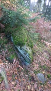 Taennchel 2025-10-12, IMG_20251012_122726