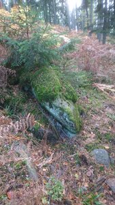 Taennchel 2025-10-12, IMG_20251012_122731