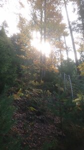 Taennchel 2025-10-12, IMG_20251012_123152