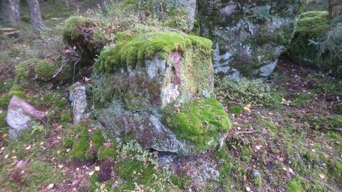 Taennchel 2025-10-12, IMG_20251012_123511