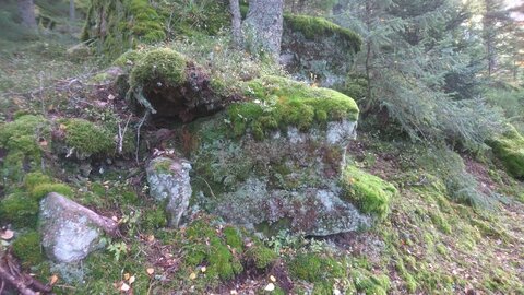 Taennchel 2025-10-12, IMG_20251012_123523