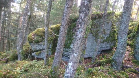 Taennchel 2025-10-12, IMG_20251012_124744