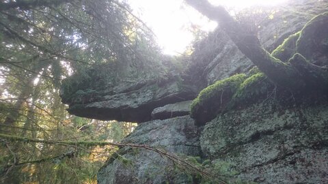 Taennchel 2025-10-12, IMG_20251012_125831