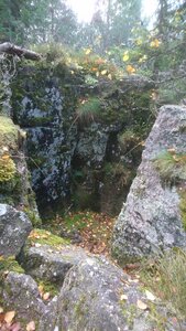 Taennchel 2025-10-12, IMG_20251012_130636