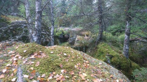 Taennchel 2025-10-12, IMG_20251012_130737