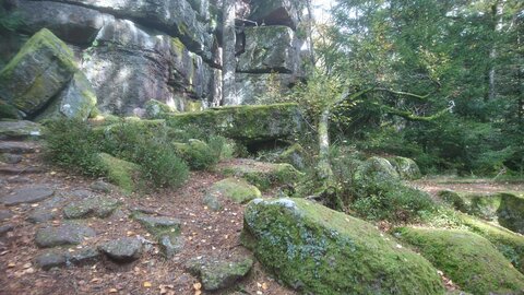 Taennchel 2025-10-12, IMG_20251012_133205