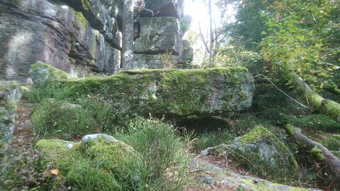 Taennchel 2025-10-12, IMG_20251012_133318