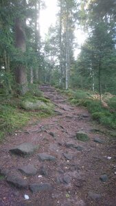 Taennchel 2025-10-12, IMG_20251012_134857
