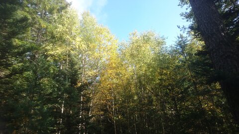 Taennchel 2025-10-12, IMG_20251012_142734