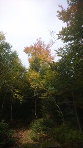 Taennchel 2025-10-12, IMG_20251012_144336