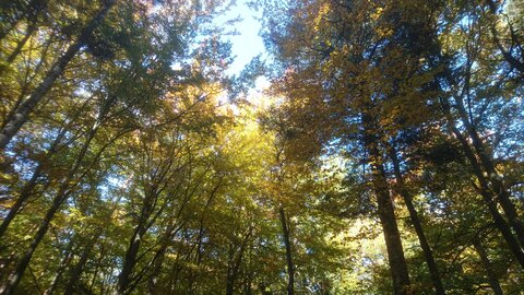 Taennchel 2025-10-12, IMG_20251012_145513