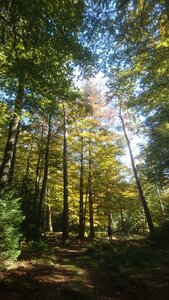 Taennchel 2025-10-12, IMG_20251012_145651