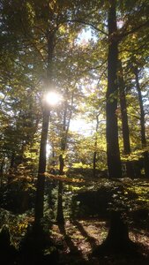 Taennchel 2025-10-12, IMG_20251012_145828