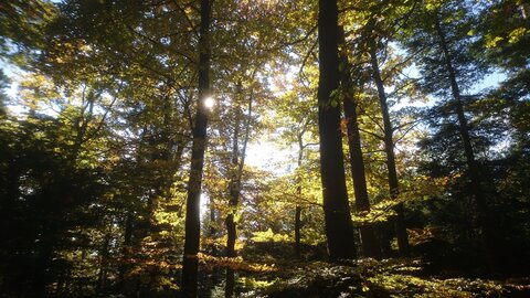Taennchel 2025-10-12, IMG_20251012_145838