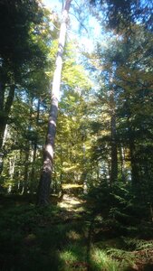 Taennchel 2025-10-12, IMG_20251012_145948