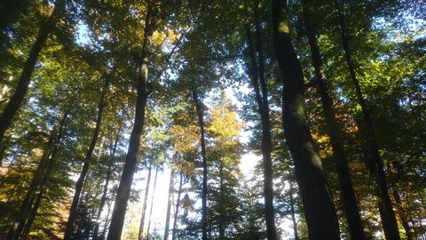 Taennchel 2025-10-12, IMG_20251012_150145