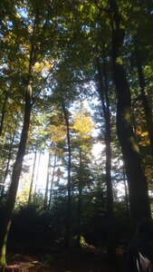 Taennchel 2025-10-12, IMG_20251012_150151