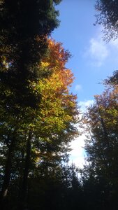 Taennchel 2025-10-12, IMG_20251012_150312