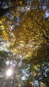 Taennchel 2025-10-12, IMG_20251012_150535