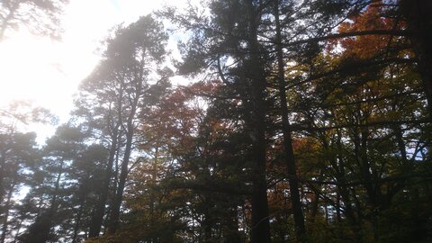 Taennchel 2025-10-12, IMG_20251012_151153
