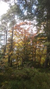 Taennchel 2025-10-12, IMG_20251012_151217