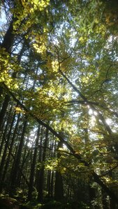 Taennchel 2025-10-12, IMG_20251012_152121