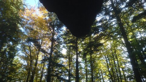 Taennchel 2025-10-12, IMG_20251012_153439
